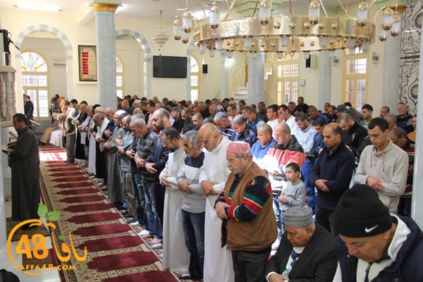 Kosoof salah (2).JPG